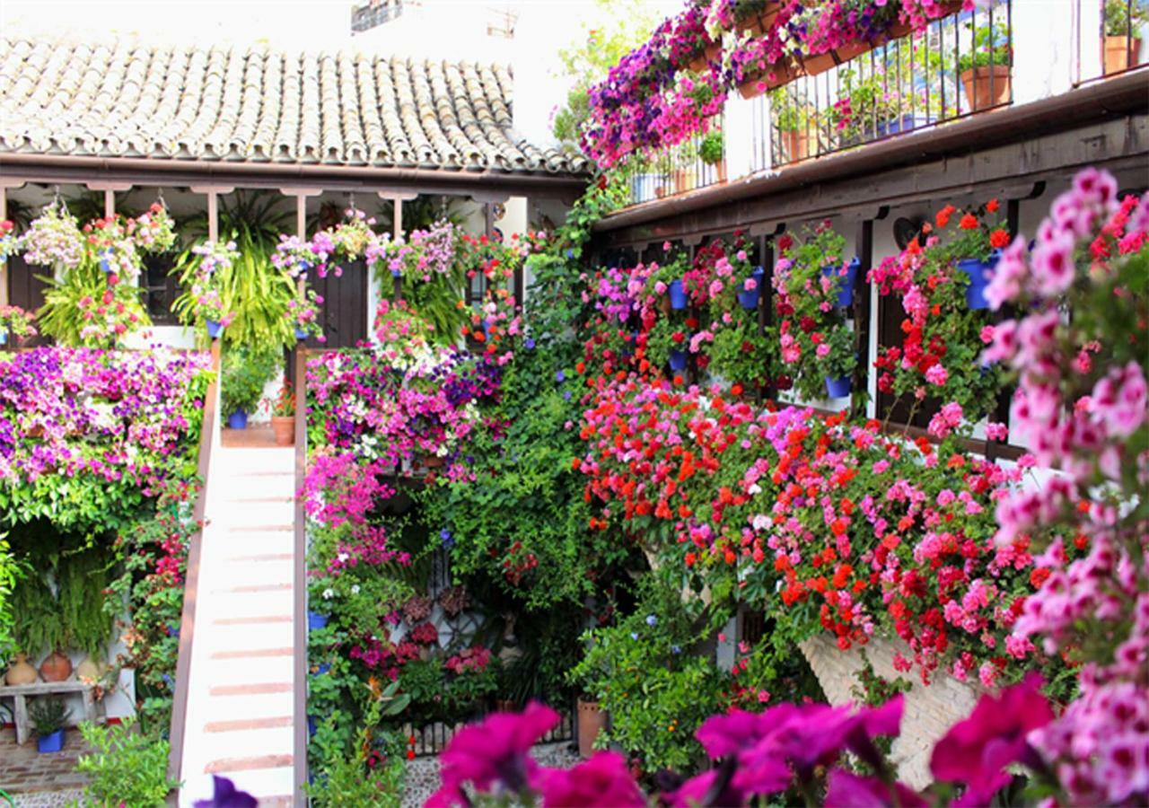 *New* Cerca De La Mezquita Apartment Kordoba Bagian luar foto