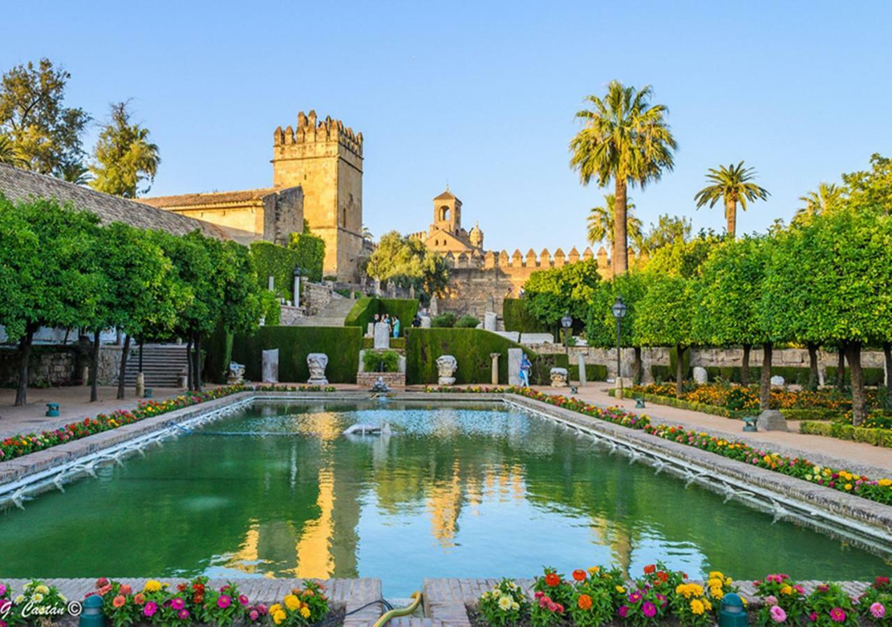 *New* Cerca De La Mezquita Apartment Kordoba Bagian luar foto